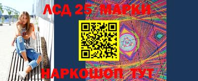гидропоника Дубна