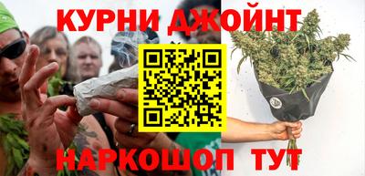 гидропоника Дубна