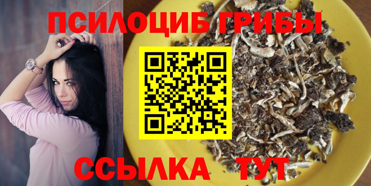 Малоярославец  Псилоцибиновые грибы Cubensis  Вход с VPN  Галлюциногенные грибы Psilocybe 