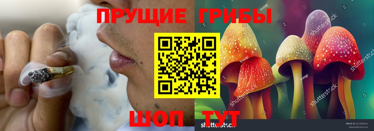 Галлюциногенные грибы Cubensis Малоярославец